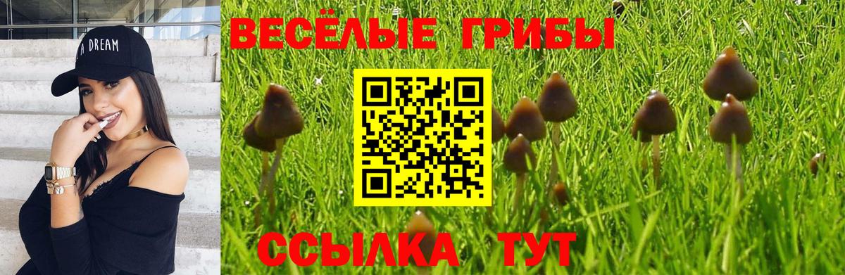 Галлюциногенные грибы Cubensis Александров