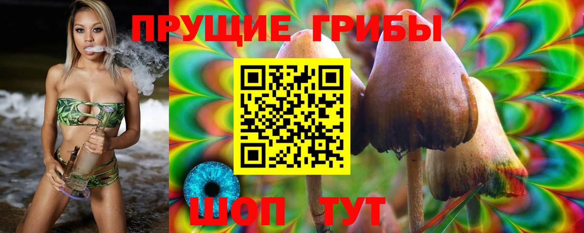 Александров  Галлюциногенные грибы мицелий  Вход с VPN  Галлюциногенные грибы Psilocybine cubensis 