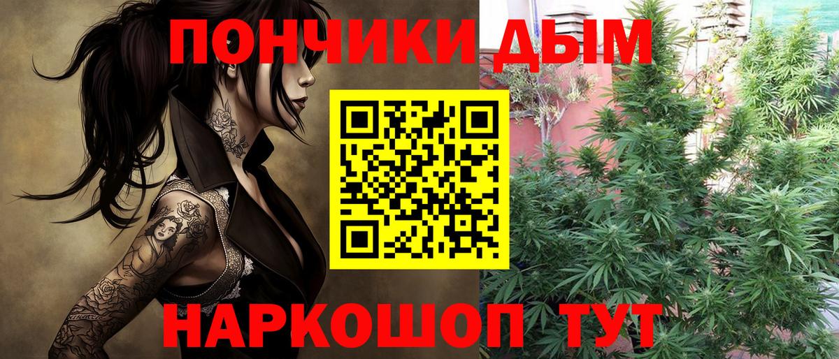МАРИХУАНА планчик  Конопля гибрид  Вход с VPN  Александров  Бошки Шишки тримм 